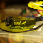 Daisy Glass