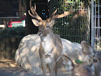 p1291730532(3).jpg