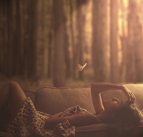 [butterfly-girl-i-can-not-sleep-without-photography-sleep-you-here-Favim.com-46620_large%255B3%255D.jpg]