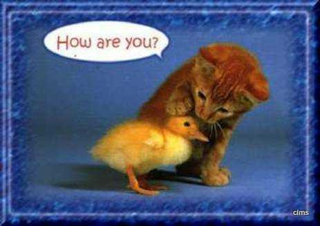 Depto O Ph 2 Amb. Grandes P.b. Luminoso. ( 2 Dormitorios )