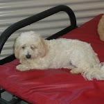 DSCN5081.jpg