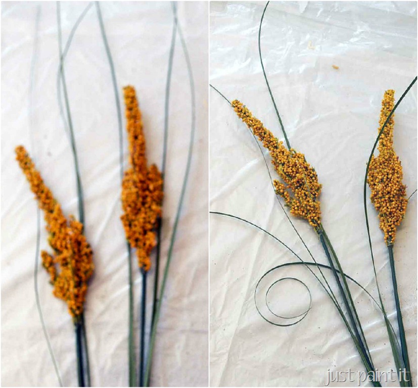 [curl%2520greenery%255B2%255D.jpg]