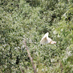 IMG_6588.JPG