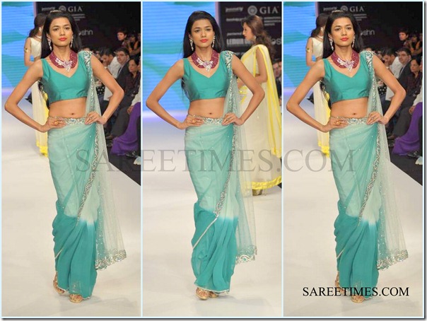 Jashn_IIJW_Saree (7)