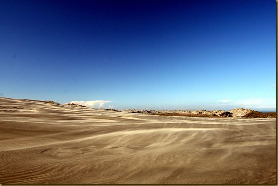 Sand blowing over Farewell Spit