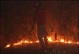O incêndio ocorreu no km 5 clip_image001
