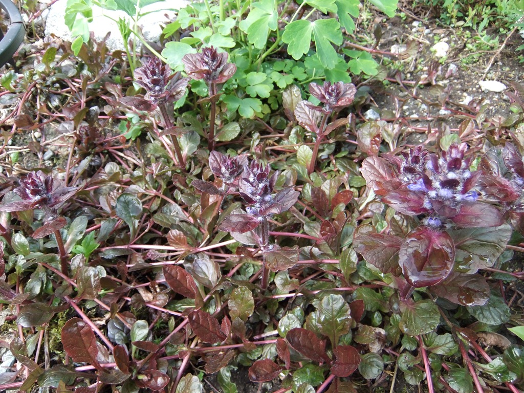 [DSCF2264.jpg]