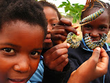 South Africa - 266.JPG