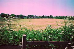 Summer-Fields-8---XPRO
