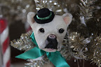 Doesn't my face just look adorable hanging on the tree?