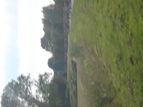 DSC04258.jpg