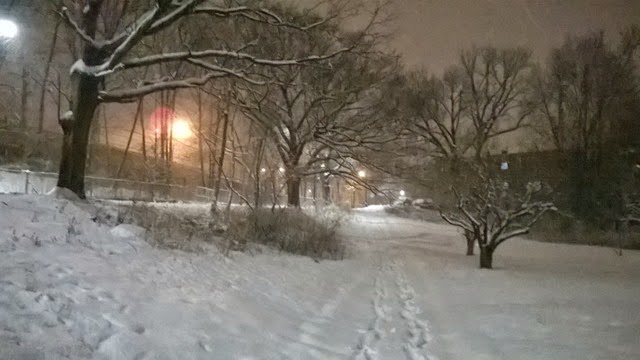 [WP_20150124_17_41_35_Pro%255B6%255D.jpg]