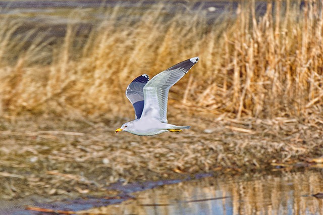 [-%2520_D7K3873-Edit-Edit-Edit%2520February%252026%252C%25202012%2520NIKON%2520D7000%255B3%255D.jpg]