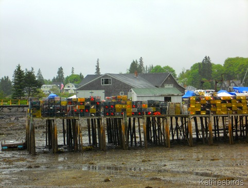 3. Lobster cages-kab