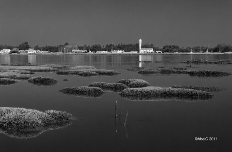 AMC_4091bw