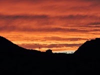 DSCN1254 DSCN1254