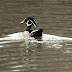 20130401-dsc_8478