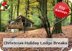 Christmas Holiday Lodge Breaks