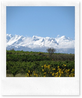 IMG_0868 IMG_0868