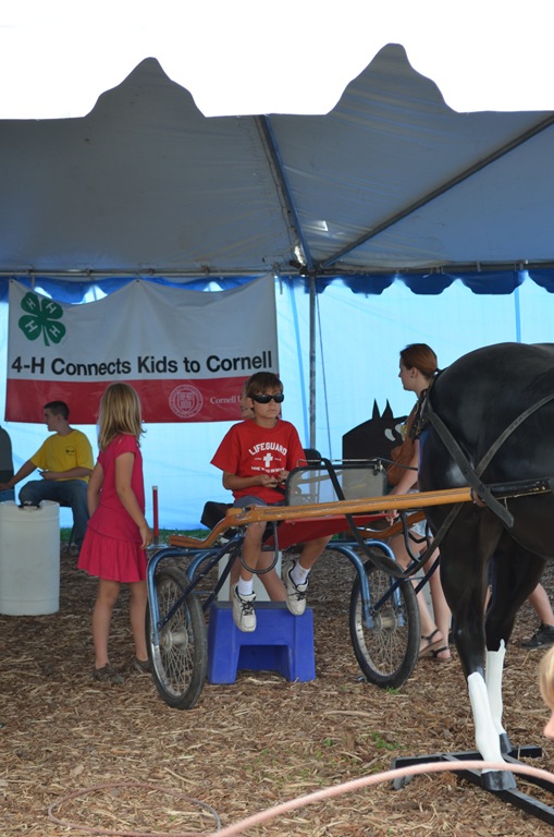 [DSC_2461%255B3%255D.jpg]