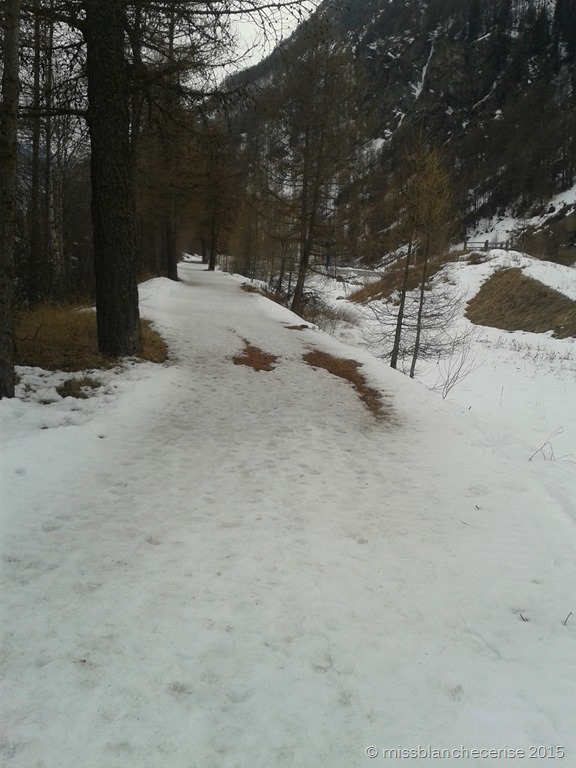 [IMG_20150315_173811%255B12%255D.jpg]