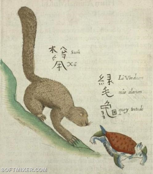 [clip_image014%255B11%255D.jpg]