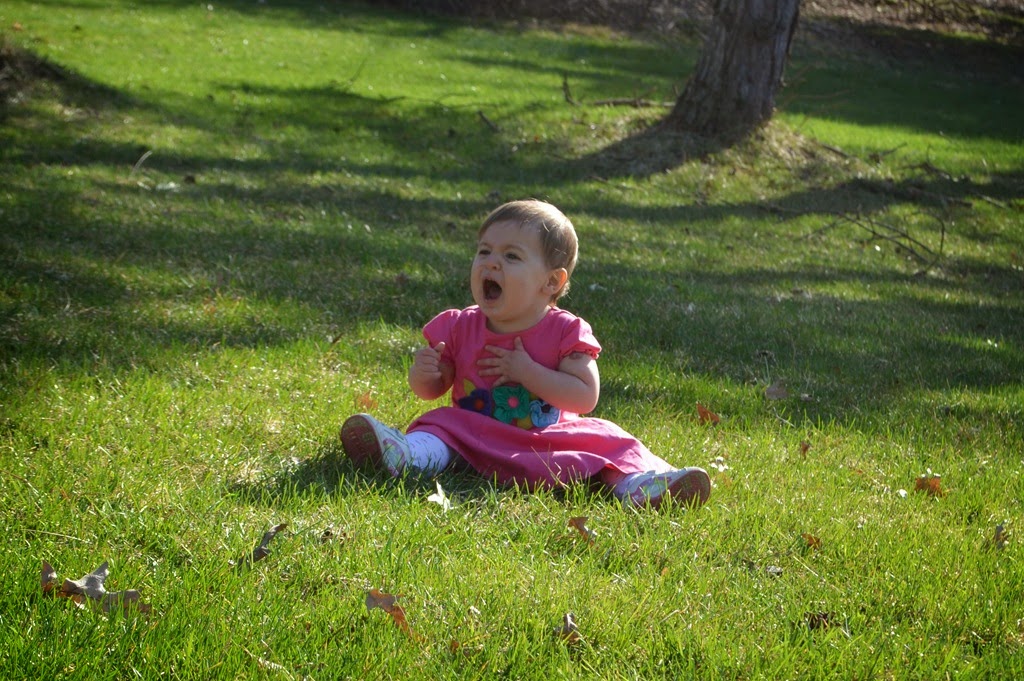 [DSC_7237%255B7%255D.jpg]