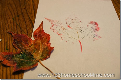 put on lots of marker ink and go quickly so it doesn't soak into the leaf put on lots of marker ink and go quickly so it doesn't soak into the leaf