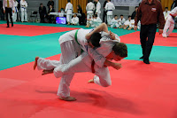 IMG_1219.jpg