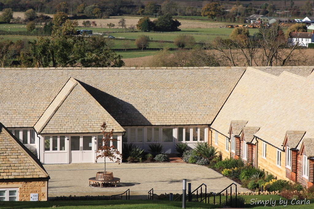 [IMG_5046%255B11%255D.jpg]