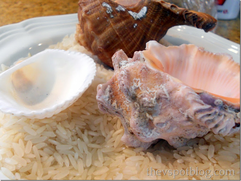shells, rice