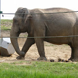 17.04.2011 Ausflug Zoo Neunkirchen am 16.04.2011