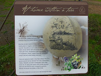 HBR_2012Dec28_041.jpg