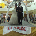viane a mil amores acul 883.jpg