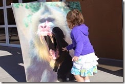 IMG_6471 IMG_6471