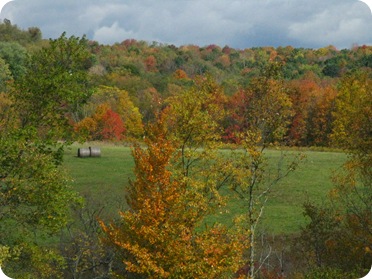 IMG_0734 (4)