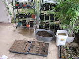 Pots prepared for planting