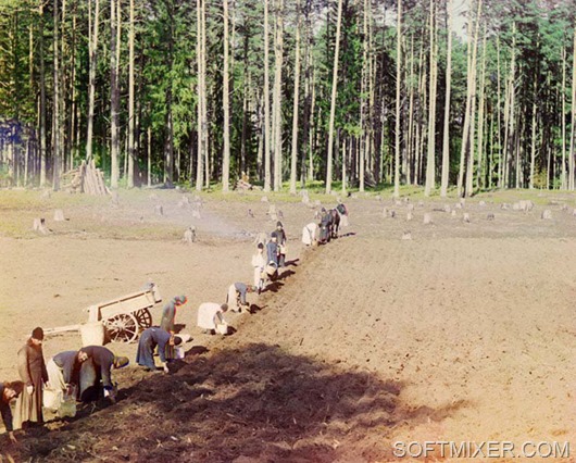 monahi_uborka monahi_uborka