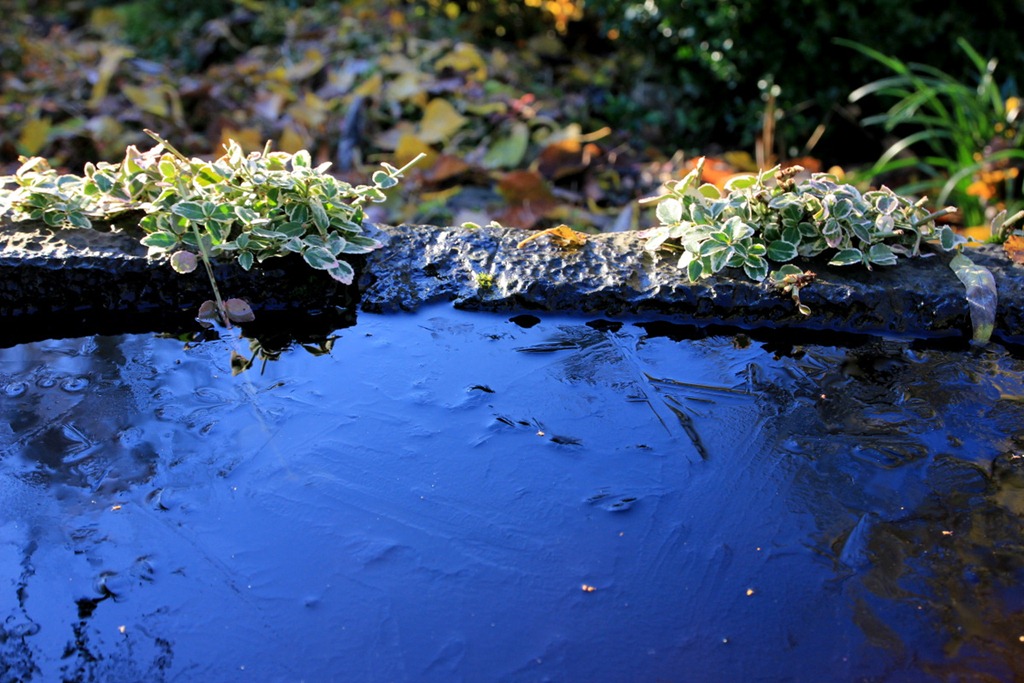 [IMG_3665%255B3%255D.jpg]