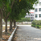 IMG_4351.jpg