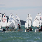 IMG_1830_R11 start.JPG