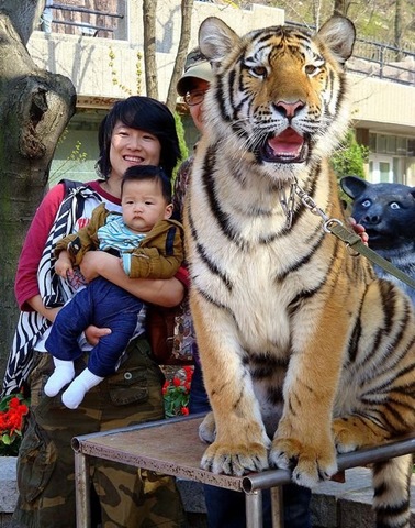 [china-mean-while-43e9c5%255B2%255D.jpg]