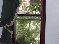 Blown out window at the house at 3229 Spruce Avenue in Washington County Blown out window at the house at 3229 Spruce Avenue in Washington County