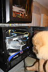 Next, I'll check our network switch.  It looks like all LED's are flashing the approriate colors!