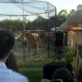 2011-07-16_19-28-40_273.jpg