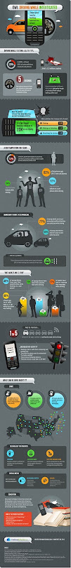 the-driving-while-intexicated-infographic