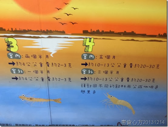 CIMG0620 CIMG0620
