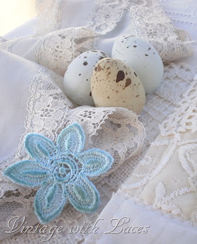 [eggs%2520and%2520lace.jpg]