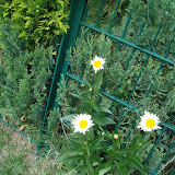 2011 07