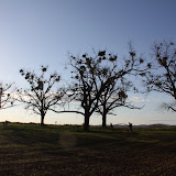 Pálava -příroda